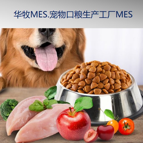 广州宠物口粮工厂生产MES系统