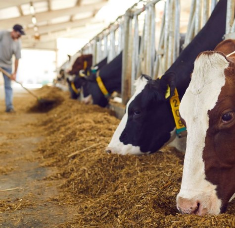 兽药添加剂制造工厂 MES 系统解决方案